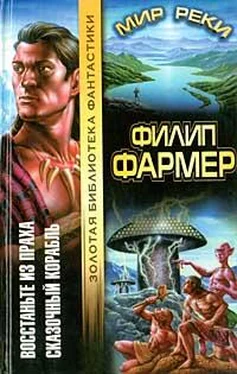 Филип Фармер Сказочный корабль обложка книги