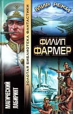 Филип Фармер Магический лабиринт обложка книги