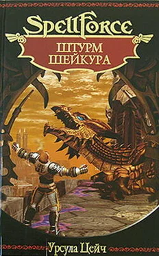 Урсула Цейч Штурм Шейкура обложка книги