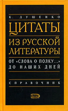 Константин Душенко Цитаты из русской литературы. Справочник обложка книги