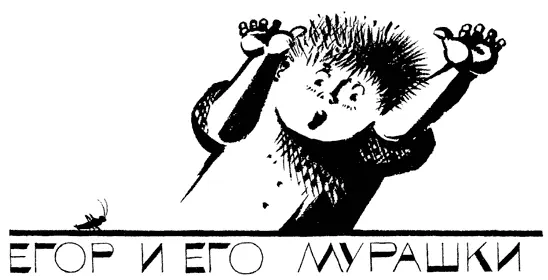 Жил в Лавровом переулке мальчик по имени Егор И был этот Егор ужасно - фото 39