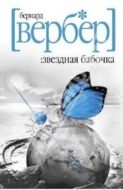 Бернард Вербер Звездная бабочка обложка книги