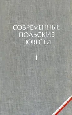 Казимеж Брандыс Как быть любимой обложка книги