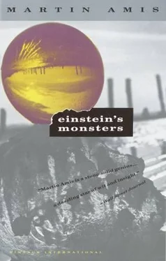 Martin Amis Einstein's Monsters обложка книги