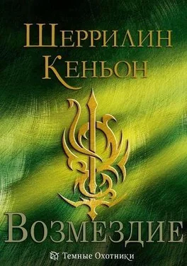 Шеррилин Кеньон Возмездие обложка книги