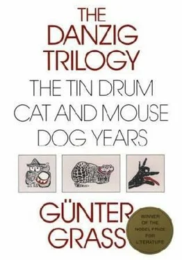 Günter Grass Cat and Mouse обложка книги