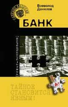 Всеволод Данилов Банк обложка книги