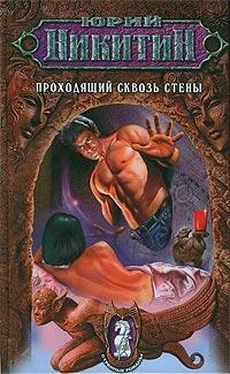 Юрий Никитин Проходящий сквозь стены обложка книги