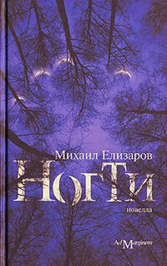 Михаил Елизаров Ногти обложка книги