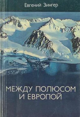 Евгений Зингер Между Полюсом и Европой обложка книги