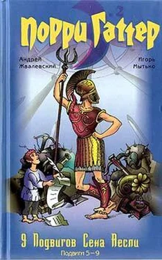 Андрей Жвалевский 9 подвигов Сена Аесли. Подвиги 5-9 обложка книги