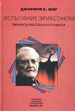 Джеффри Зейг Испытание Эриксоном. Личность мастера и его работа обложка книги