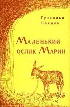 Гунхильд Зехлин Маленький ослик Марии обложка книги