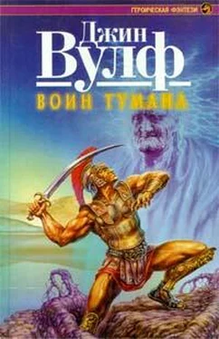 Джин Вулф Воин тумана обложка книги