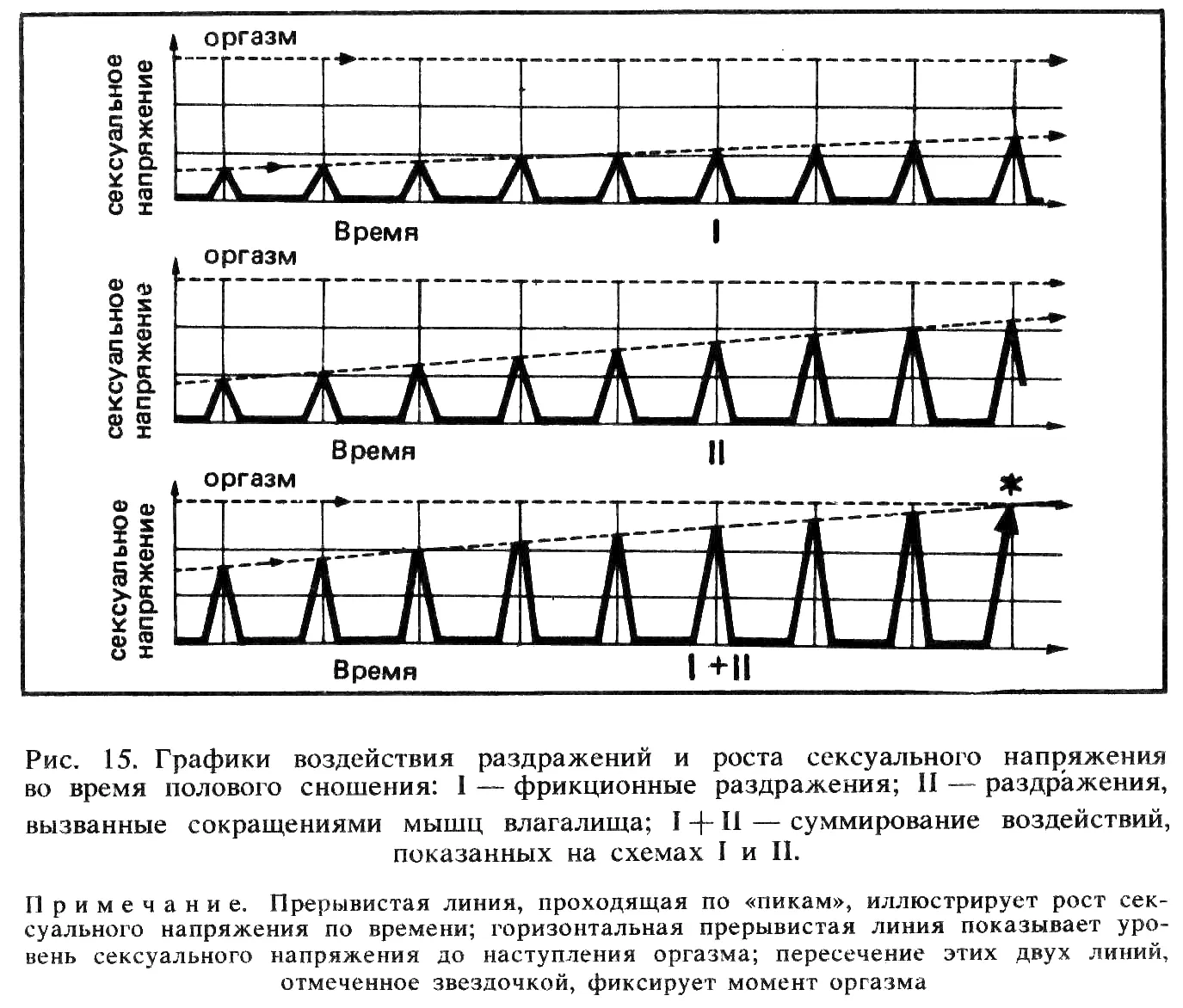 МЕХАНИЗМ ПОЛОВОГО АКТА Прежде чем перейти к описанию механизма полового акта - фото 17