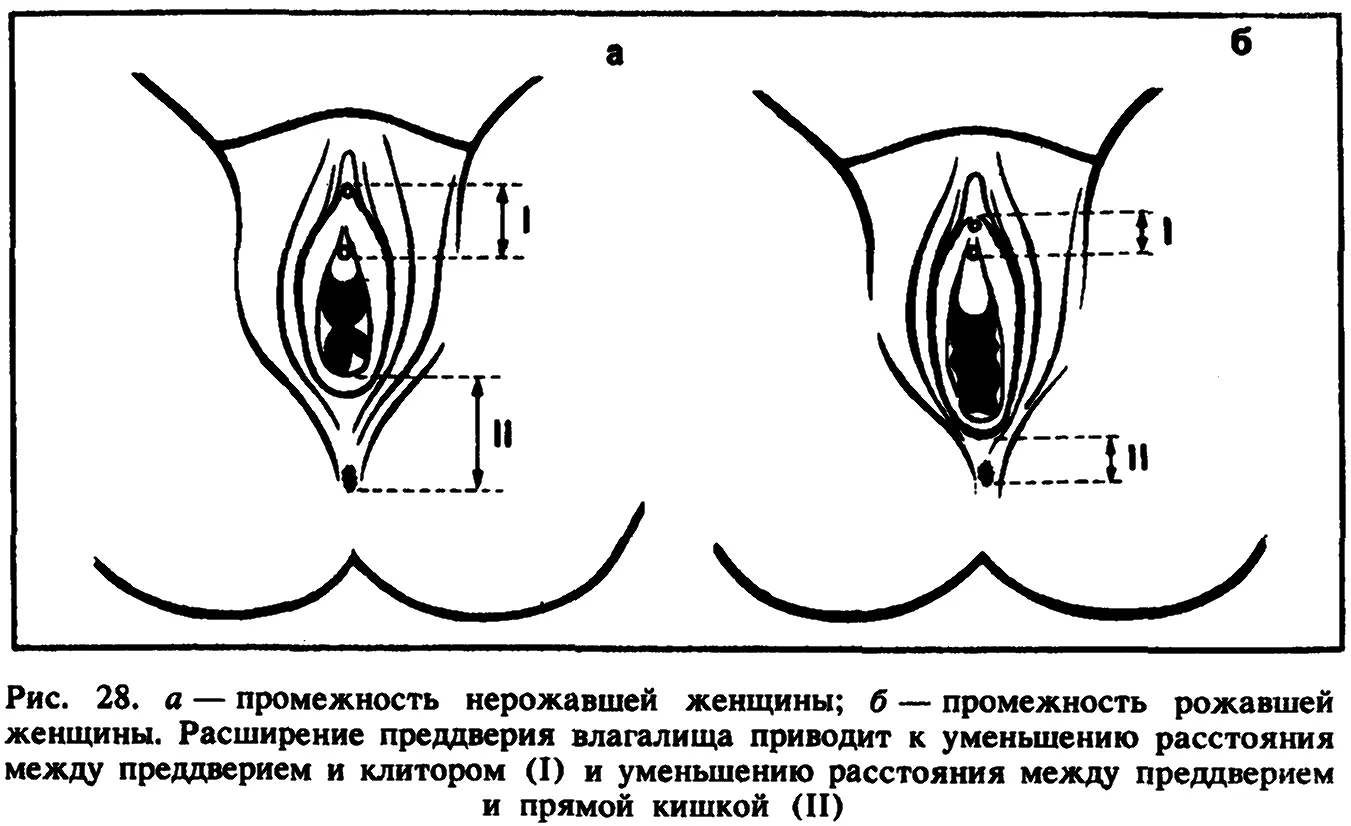 Существует ещё одна особенность на которую обратили внимание американские - фото 30
