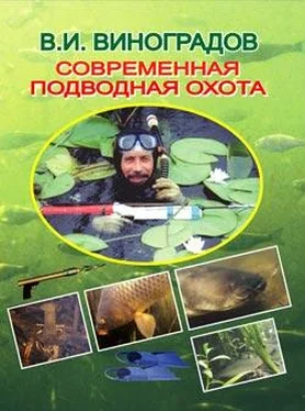 Виталий Виноградов Современная подводная охота обложка книги