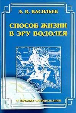 Э. Васильев Способ жизни в Эру Водолея обложка книги