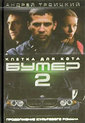 Андрей Троицкий - Бумер-2 - Клетка для кота