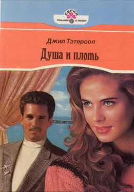 Джил Тэтерсол Душа и плоть обложка книги