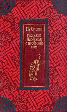 Пу Сунлин Рассказы Ляо Чжая о необычайном обложка книги