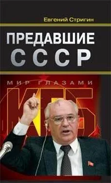 Евгений Стригин Предавшие СССР обложка книги