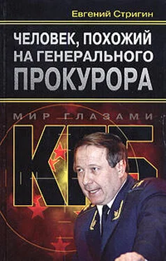 Евгений Стригин Человек, похожий на генерального прокурора, или Любви все возрасты покорны обложка книги