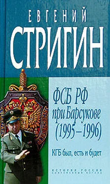 Евгений Стригин КГБ был, есть и будет. ФСБ РФ при Барсукове (1995-1996) обложка книги
