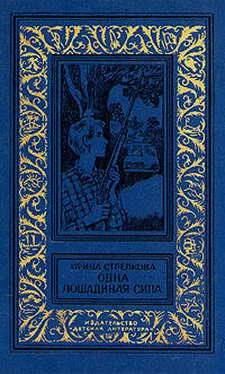 Ирина Стрелкова Опять Киселев обложка книги