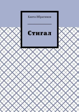 Канта Ибрагимов Стигал обложка книги