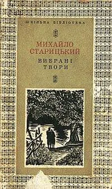 Михайло Старицький За двома зайцями обложка книги