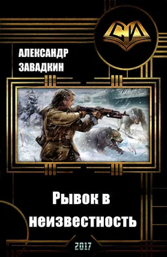 Александр Завадкин Рывок в неизвестность (СИ) обложка книги