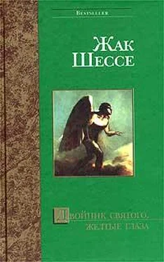 Жак Шессе Упражнение в святости обложка книги