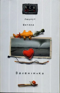 Люциус Шепард Валентинка обложка книги