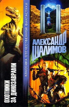 Александр Шалимов Охотники за динозаврами [Охота за динозаврами] обложка книги