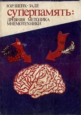 Ю. Шейх-Заде Суперпамять: древняя методика мнемотехники обложка книги