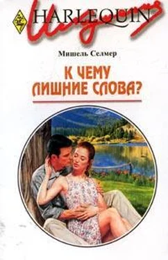 Мишель Селмер К чему лишние слова? обложка книги