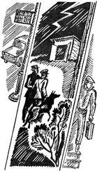 Анатолий Селиванов - Гараж на пустыре