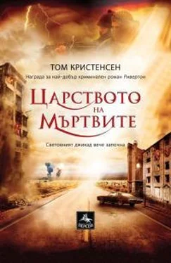 Том Кристенсен Царството на мъртвите обложка книги