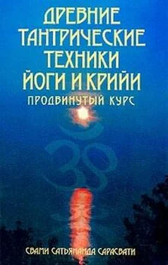 Сатьянанда Сарасвати Древние тантрические техники йоги и крийи. Продвинутый курс обложка книги