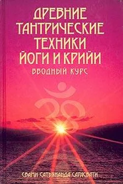 Сатьянанда Сарасвати Древние тантрические техники йоги и крийи. Вводный курс