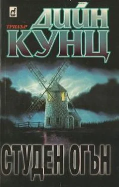 Дин Кунц Студен огън обложка книги