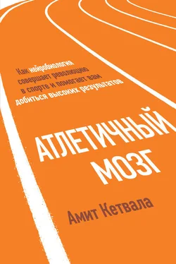 Амит Кетвала Атлетичный мозг [Как нейробиология совершает революцию в спорте и помогает вам добиться высоких результатов] обложка книги