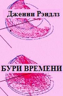 Дженни Рэндлз Бури времени обложка книги