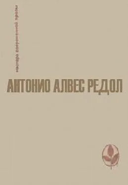 Антонио Редол Проклиная свои руки обложка книги