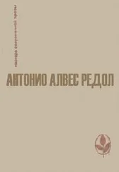 Антонио Редол - Когда улетают ласточки