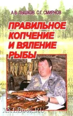 А. Пышков Правильное копчение и вяление рыбы обложка книги