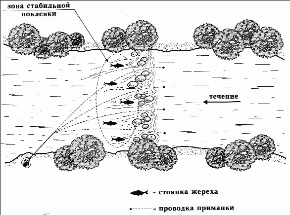 Рис 35 Стоянка жереха за грядами переката Граница течения и спокойной воды у - фото 43