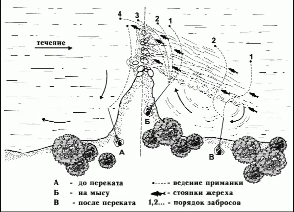 Рис 36 Порядок облова жереха после переката Поэтому приманки забрасывают в - фото 44