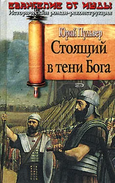 Юрий Пульвер Стоящий в тени Бога обложка книги